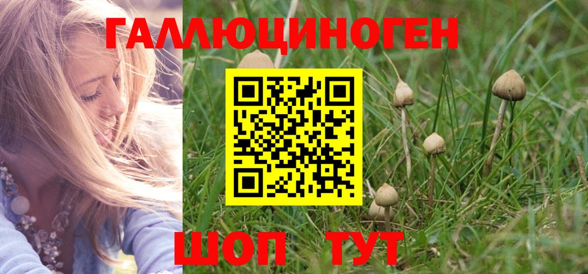 Галлюциногенные грибы GOLDEN TEACHER Волжский