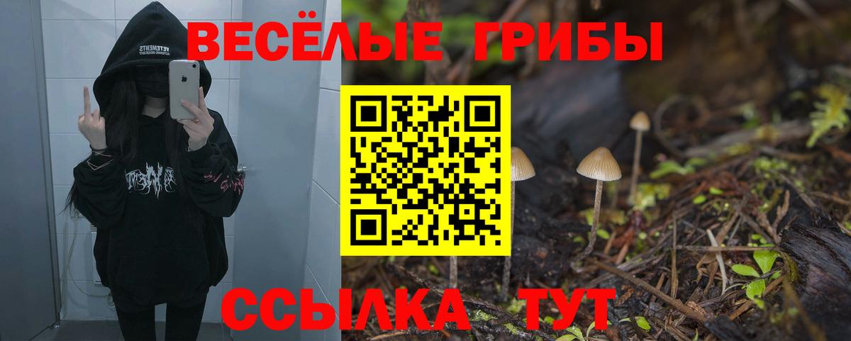 Волжский  Псилоцибиновые грибы ЛСД  Псилоцибиновые грибы GOLDEN TEACHER  Вход с VPN 